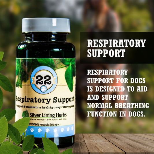 22 Respiratory Support for Canines