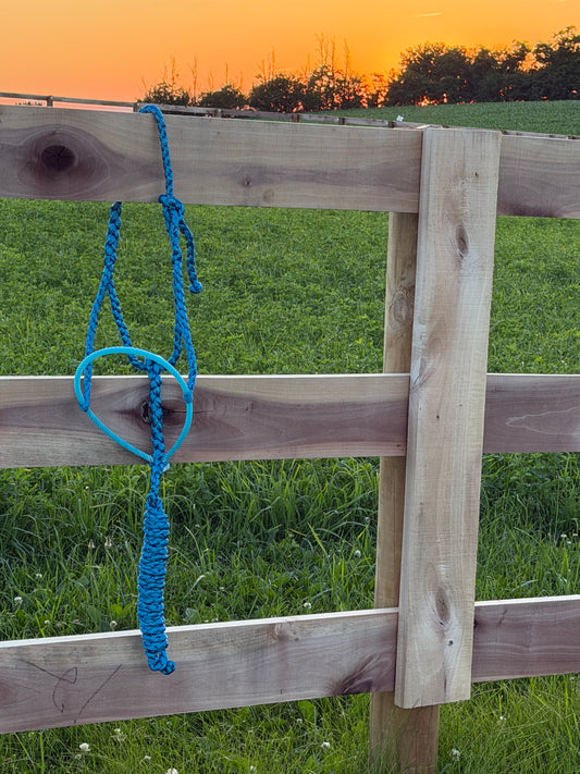 Signature| Blue Lariat