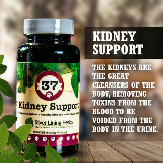 37 Kidney Support for Canines - 90 Capsule