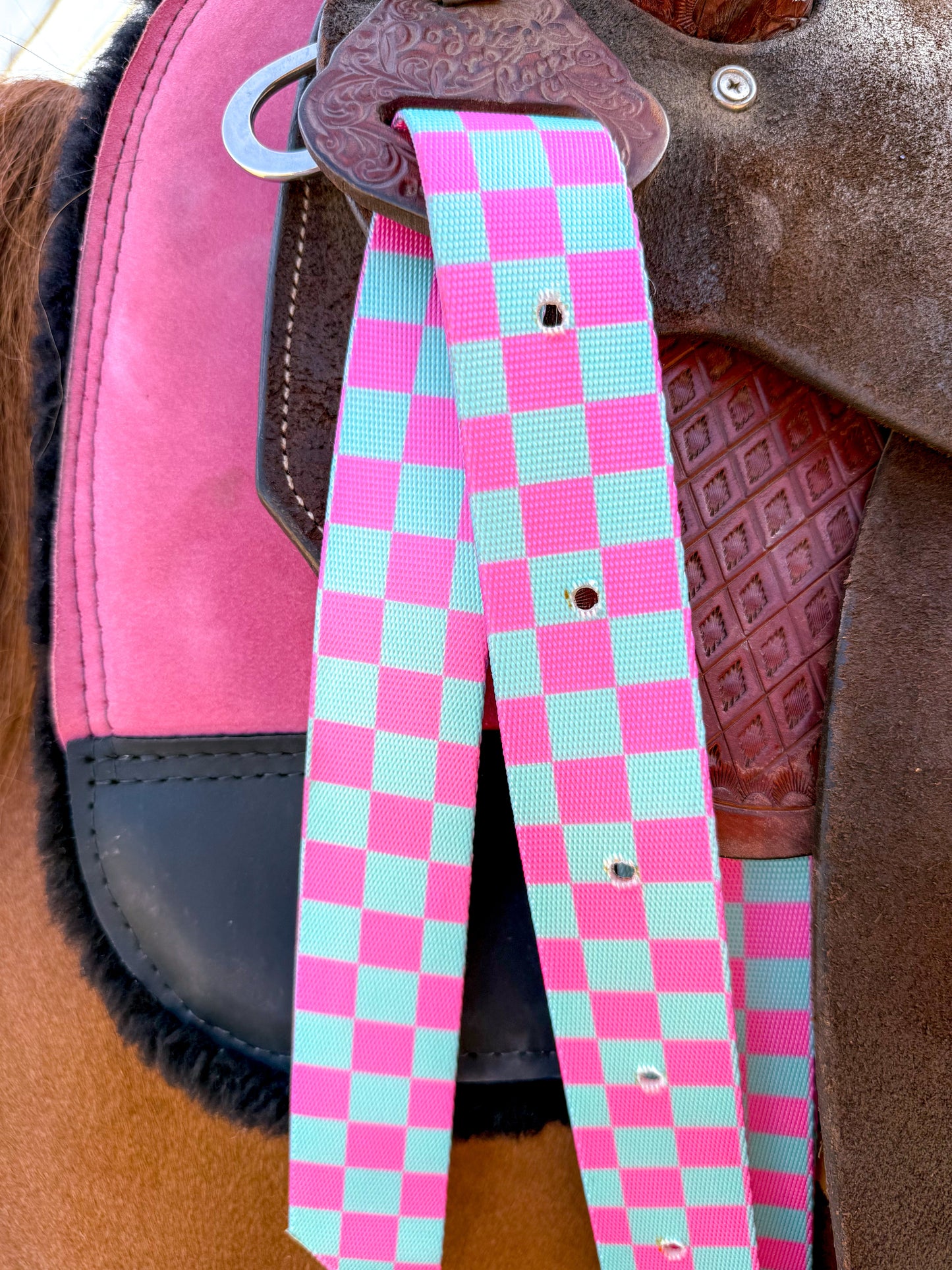 Checks Out (Pink/Turquoise) Cinch Strap Set