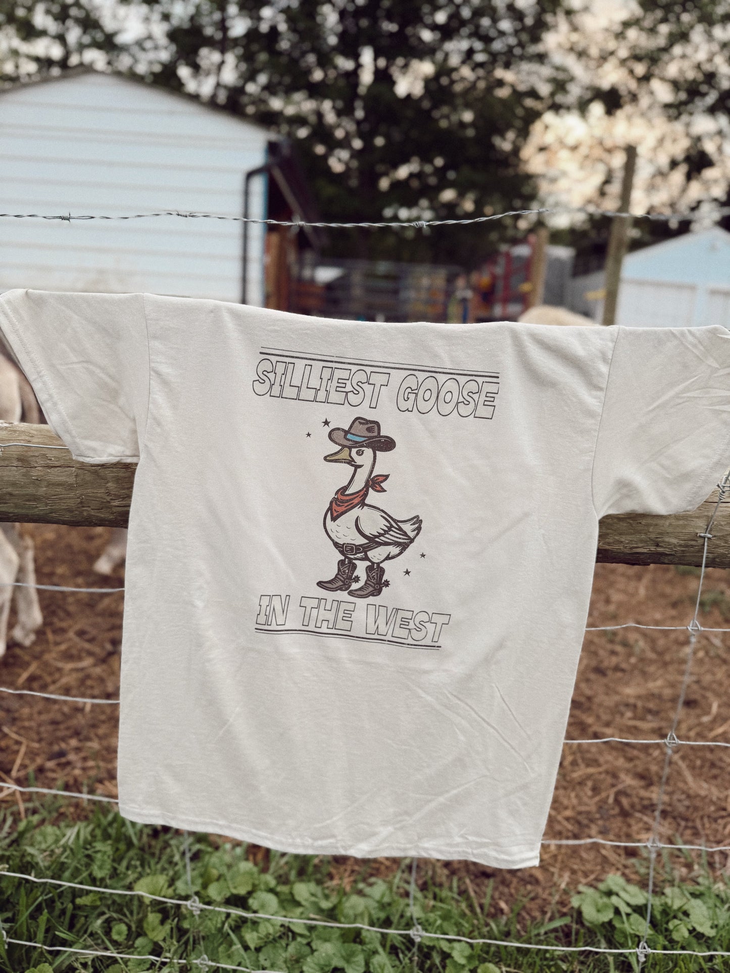 SILLEST GOOSE IN THE WEST