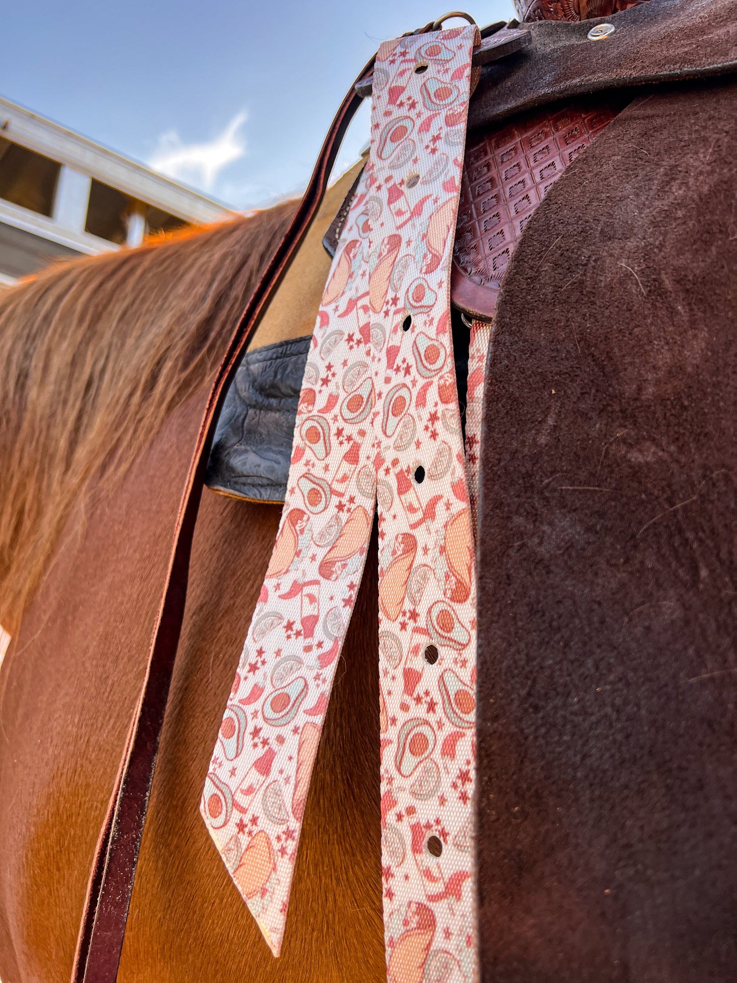 Taco Tuesday Cinch Strap Set