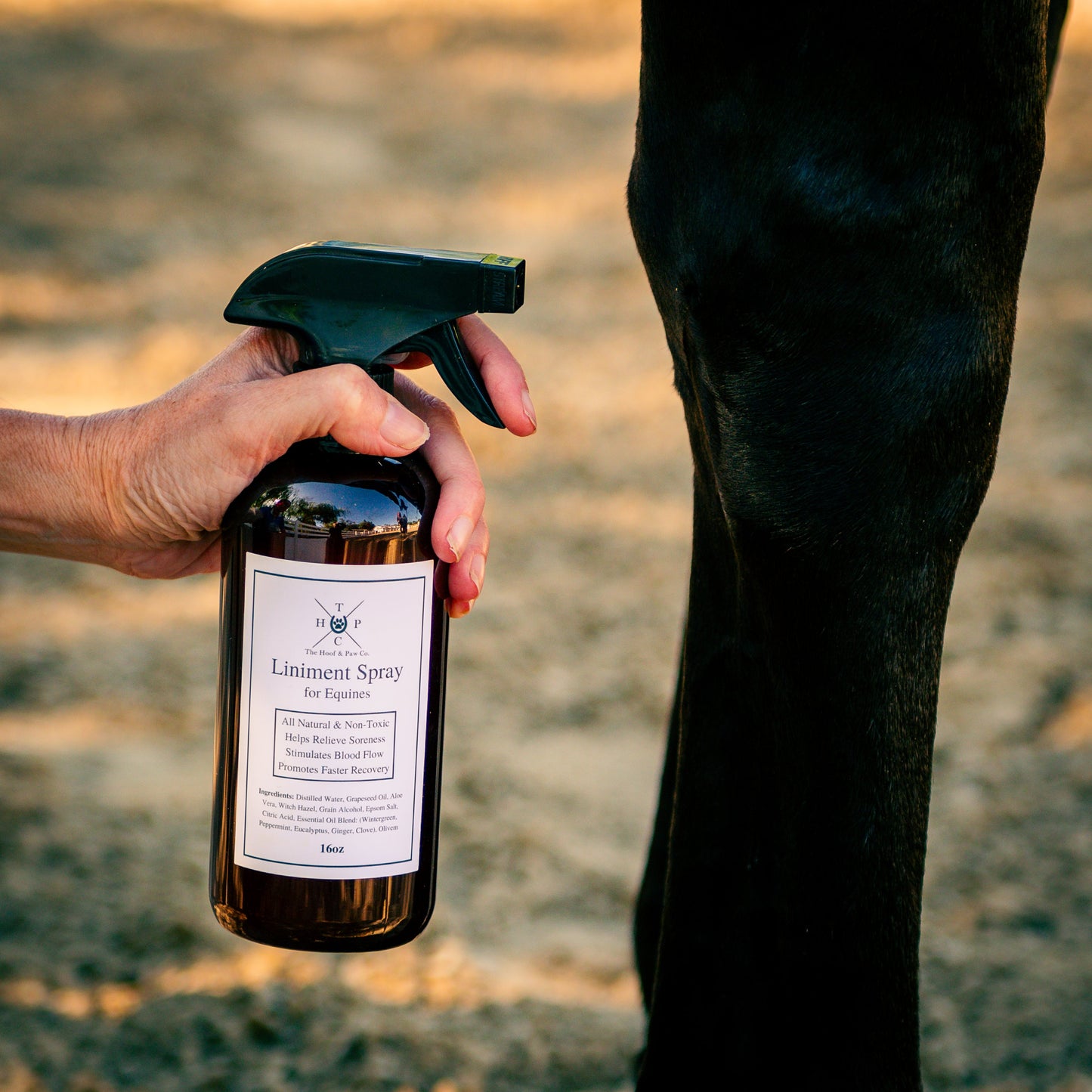 Liniment Spray for Horses - 16oz