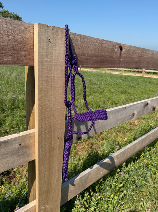 Signature| Purple