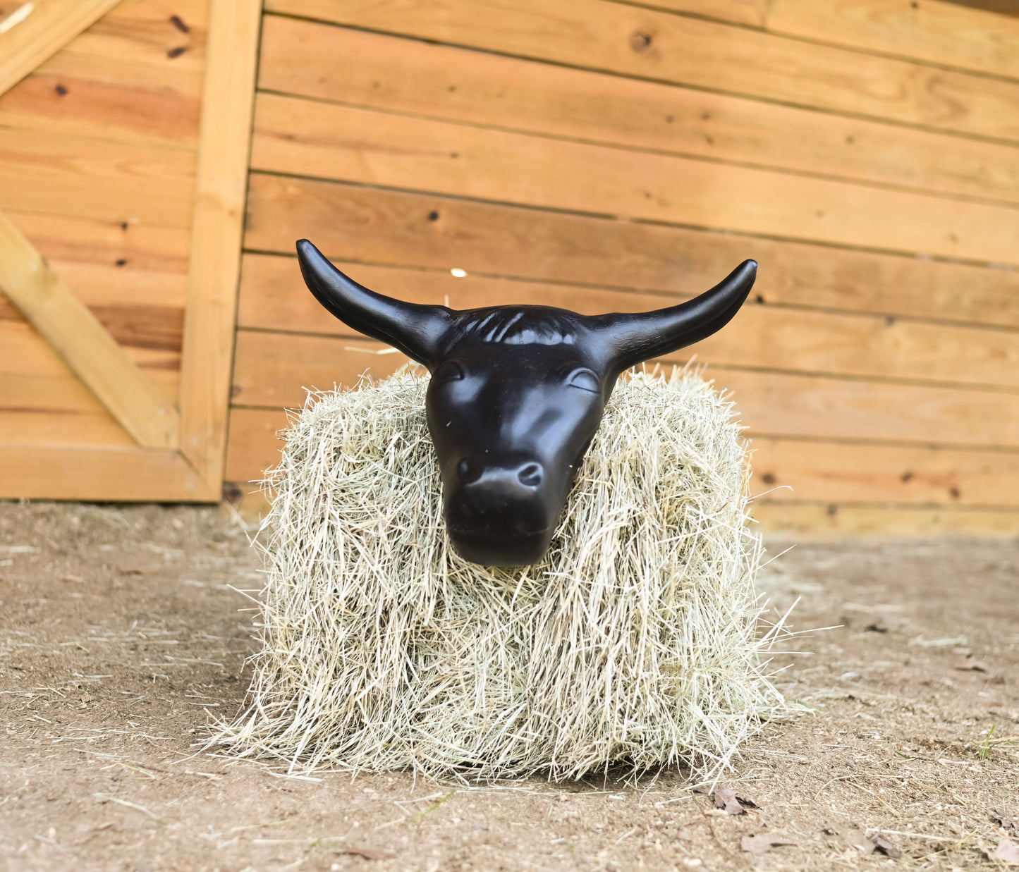 AJ Tack Steer Head Roping Dummy