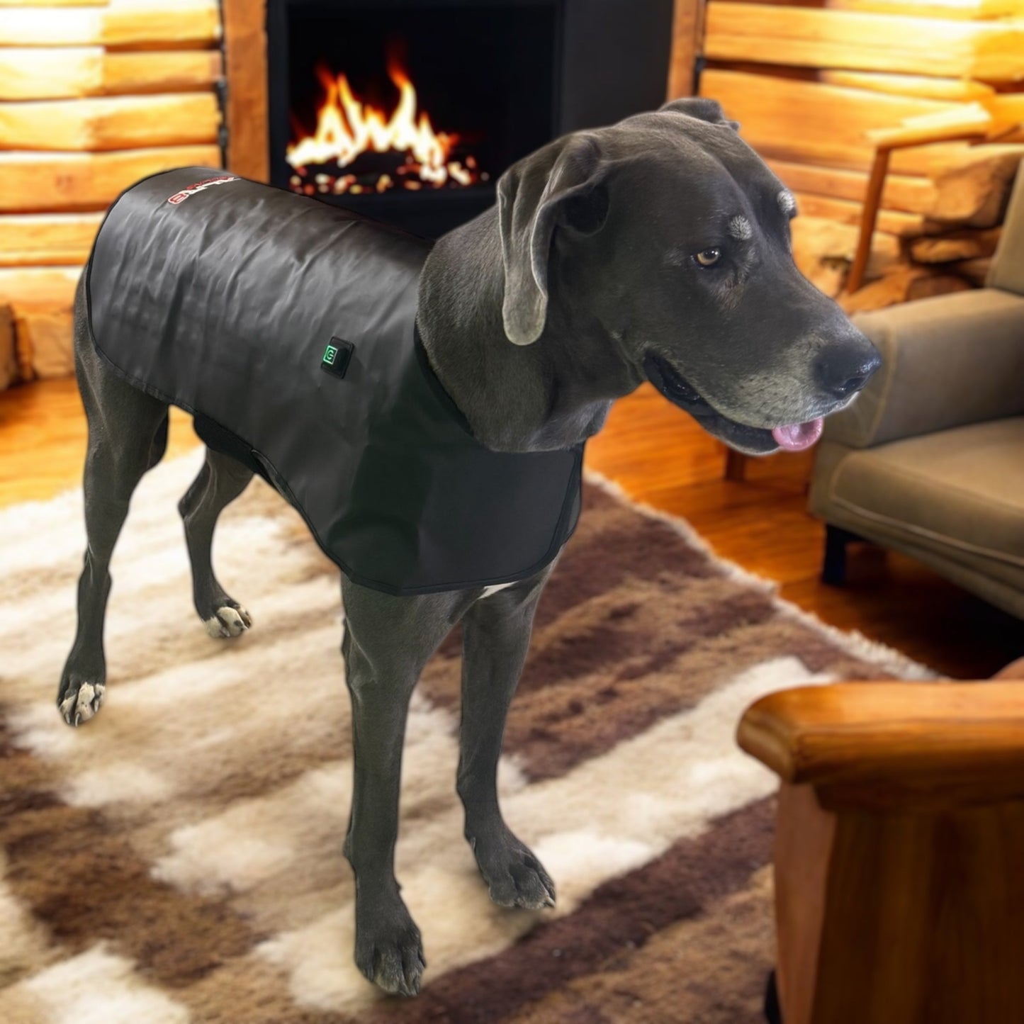 Redline Dog Wrap- Large