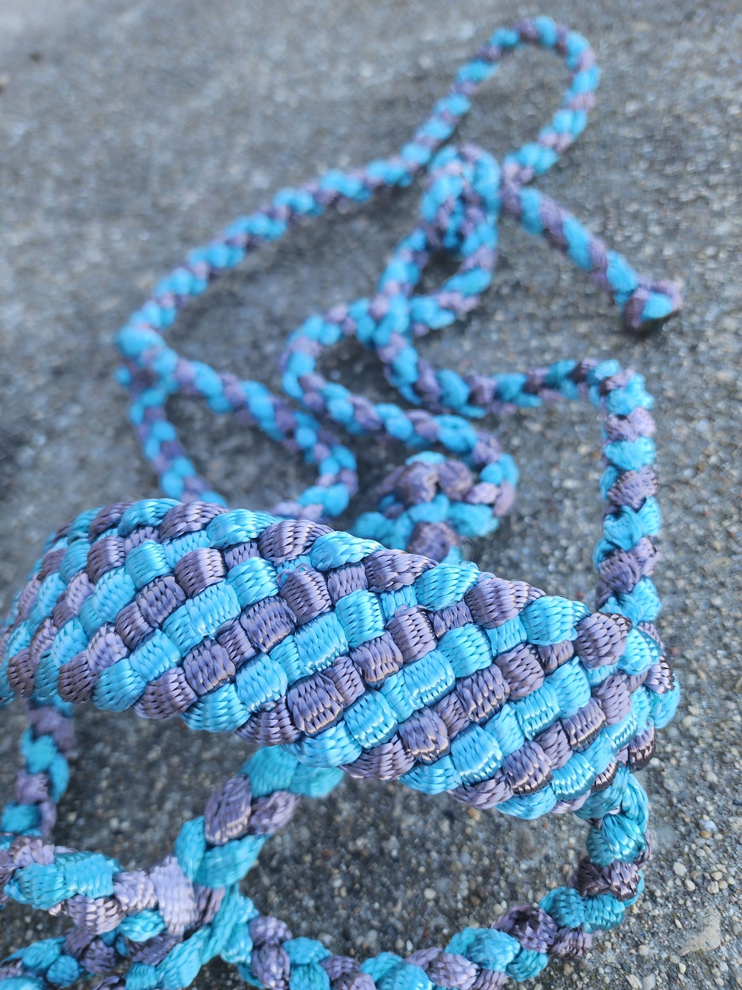 Two Color Muletape Halter & Lead image 4