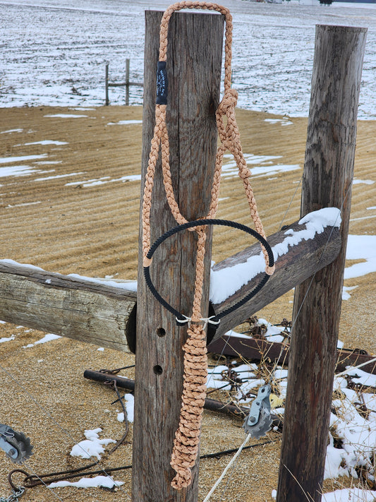 Single Color Lariat Noseband Halter image 4