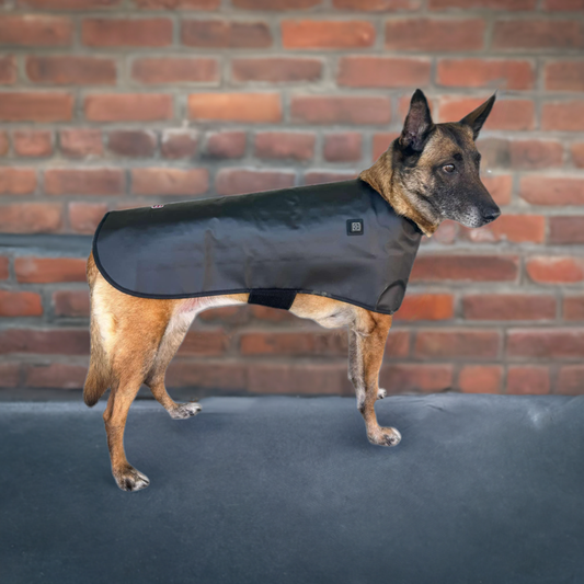 Redline Dog Wrap- Large