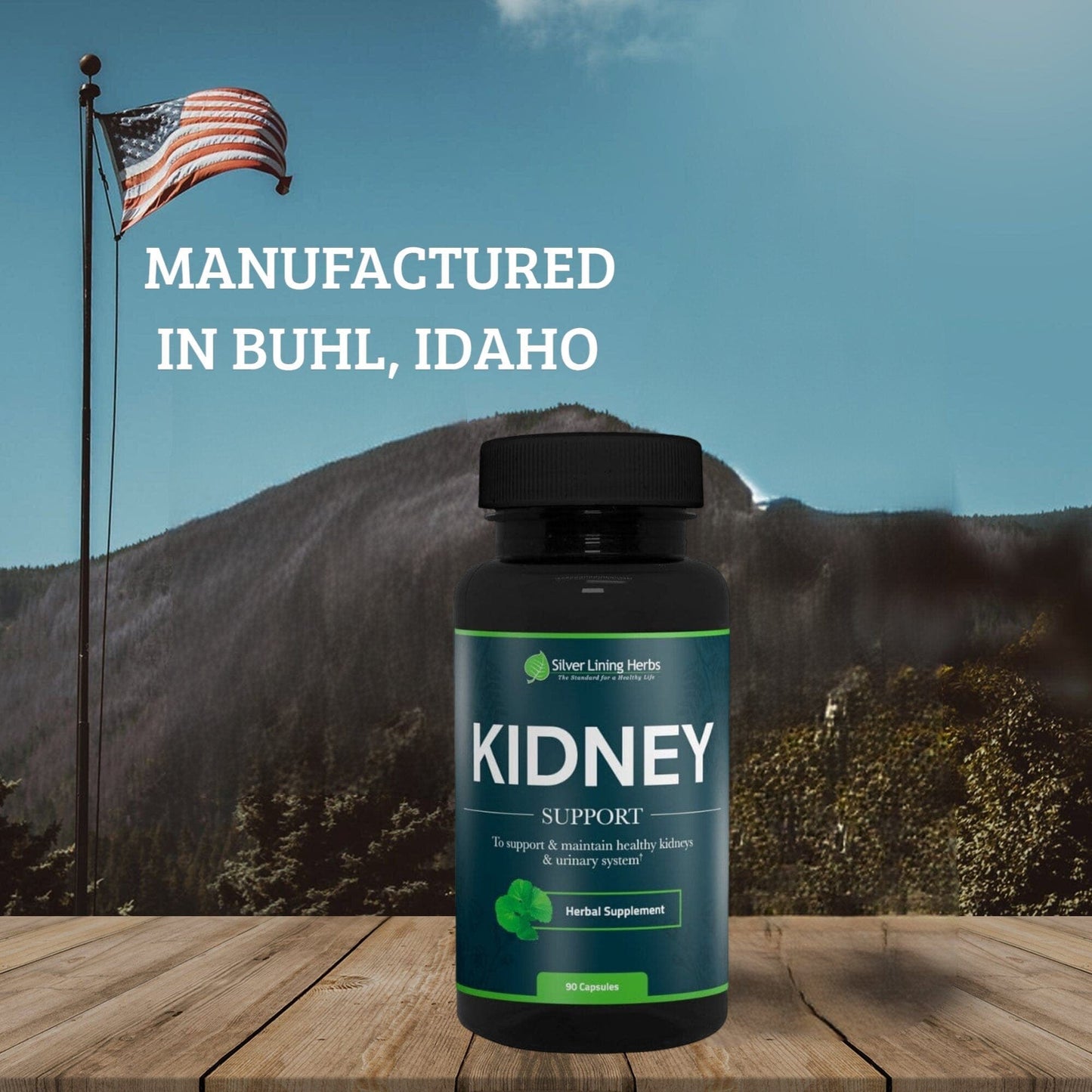 Herbal Kidney Support For Humans