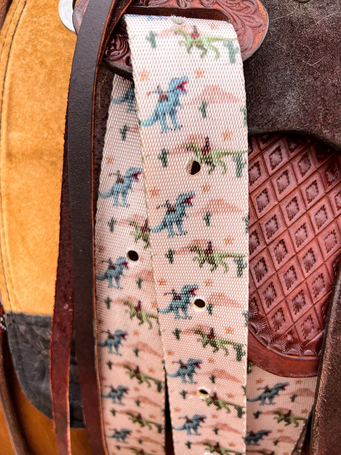 Jurassic Ranch Cinch Strap Set