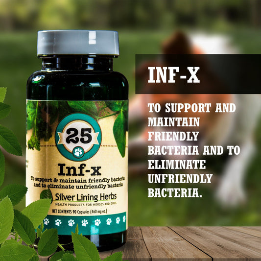 INF-X for Canines - 90 Capsules
