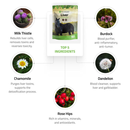 Liver Support for Horses