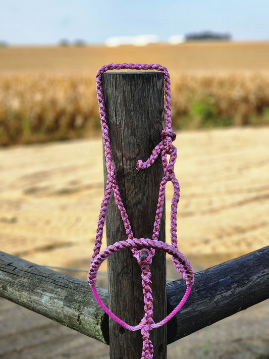 Braided Lariat Noseband Halter 2 Color W/ Lead- Customize