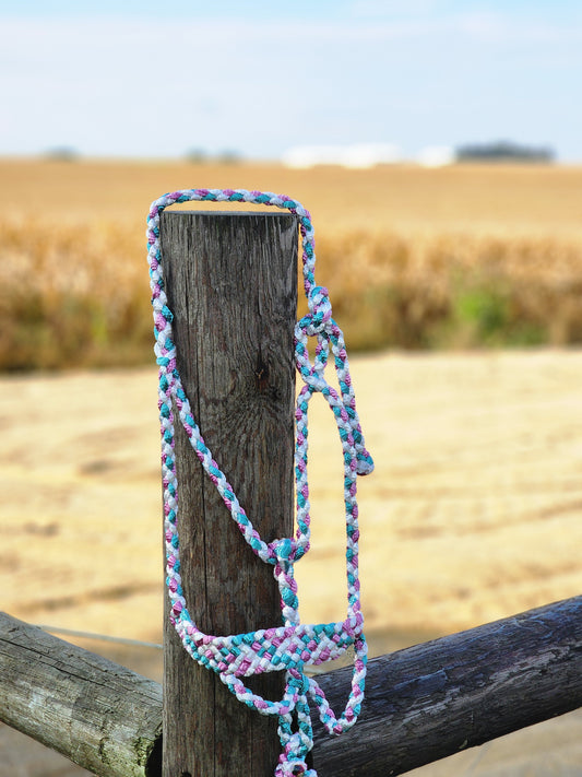 Three Color MuleTape Halter + Lead- Customize