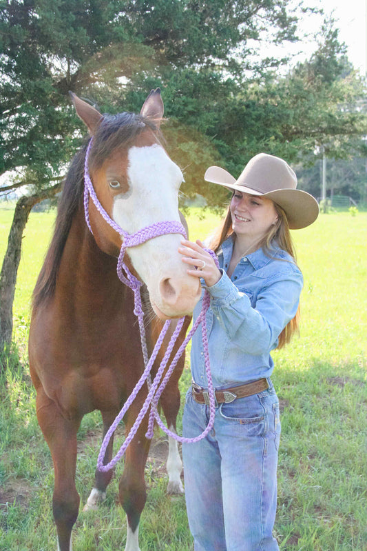 One Color Muletape Halter + Lead- Customize