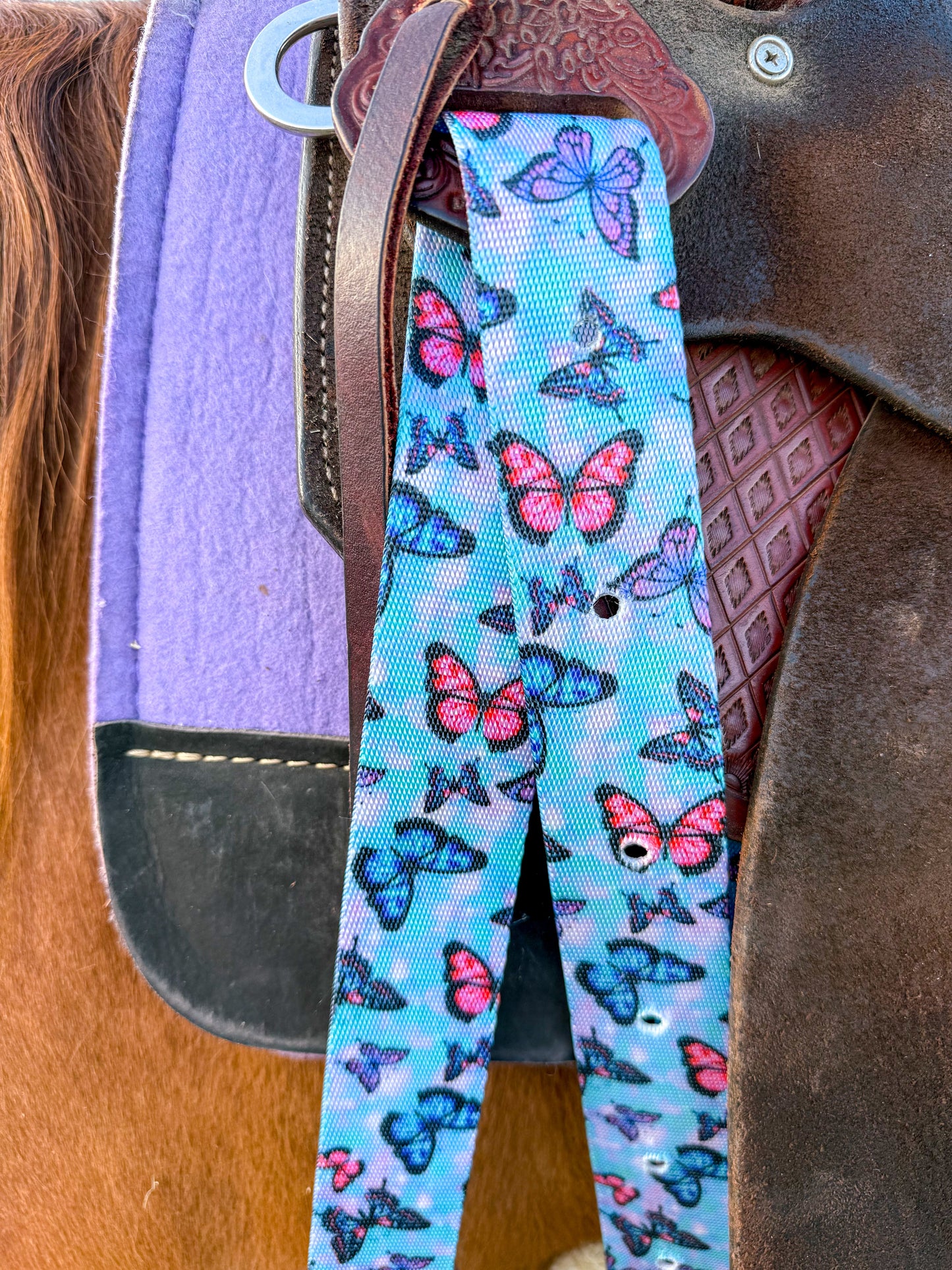 Cotton Candy ButterfliesCinch Strap Set
