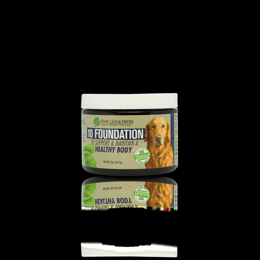 Foundation for Canines