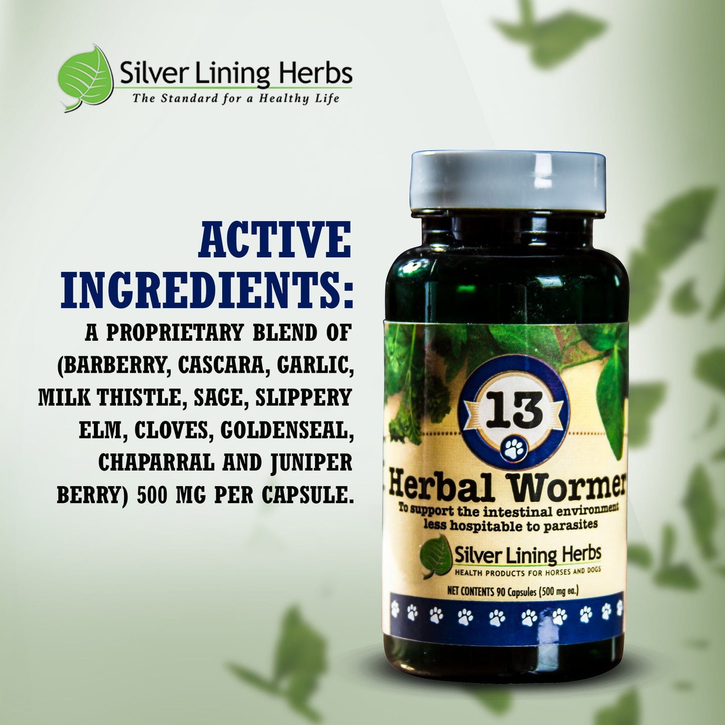 13 Herbal Wormer for Canines -  90 Capsule