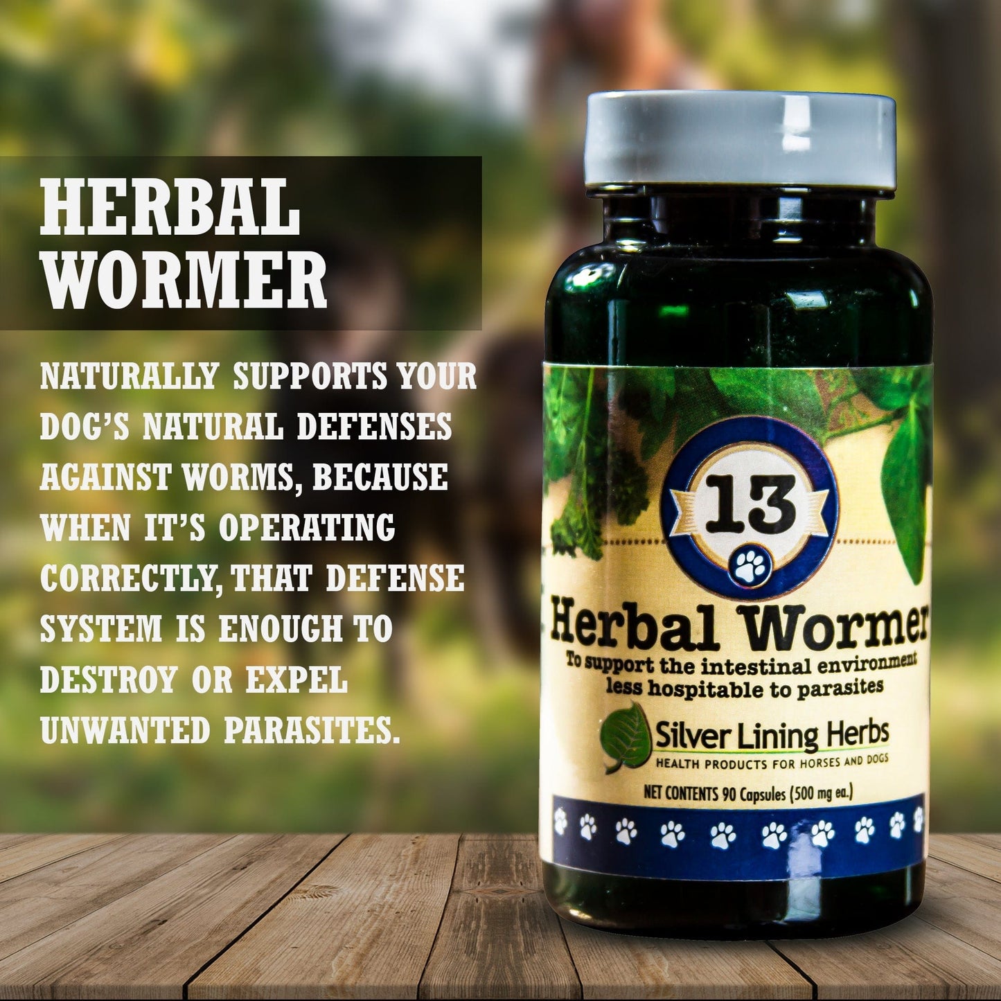 13 Herbal Wormer for Canines -  90 Capsule