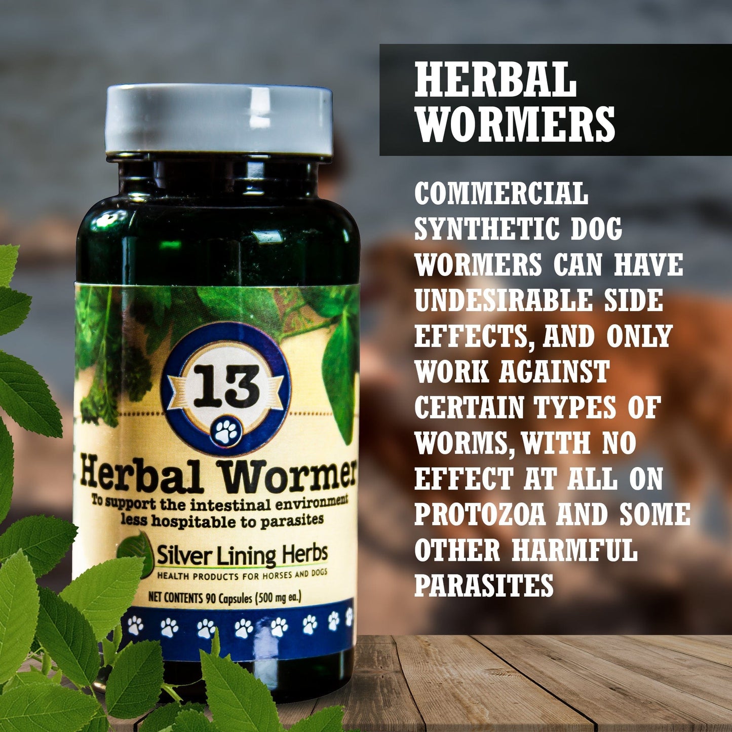 13 Herbal Wormer for Canines -  90 Capsule