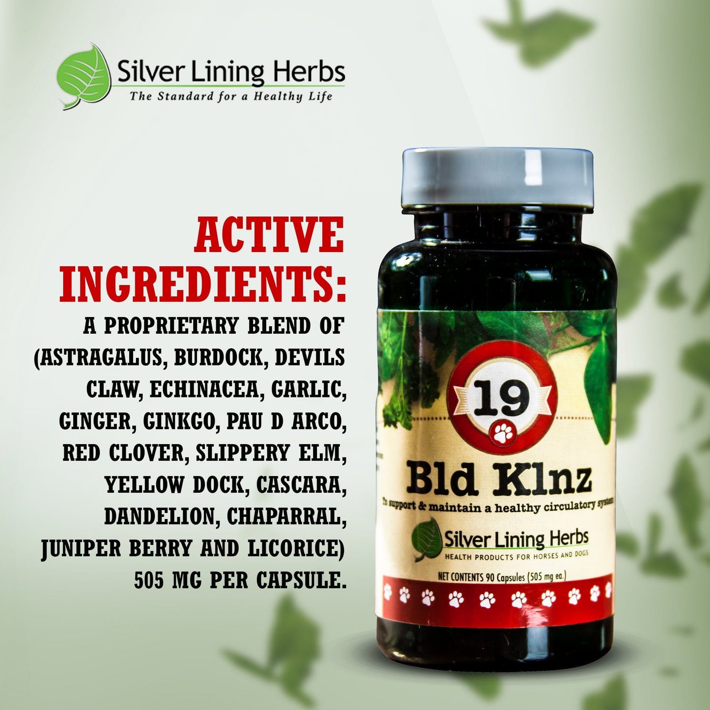 19 Bld Klnz for Canines