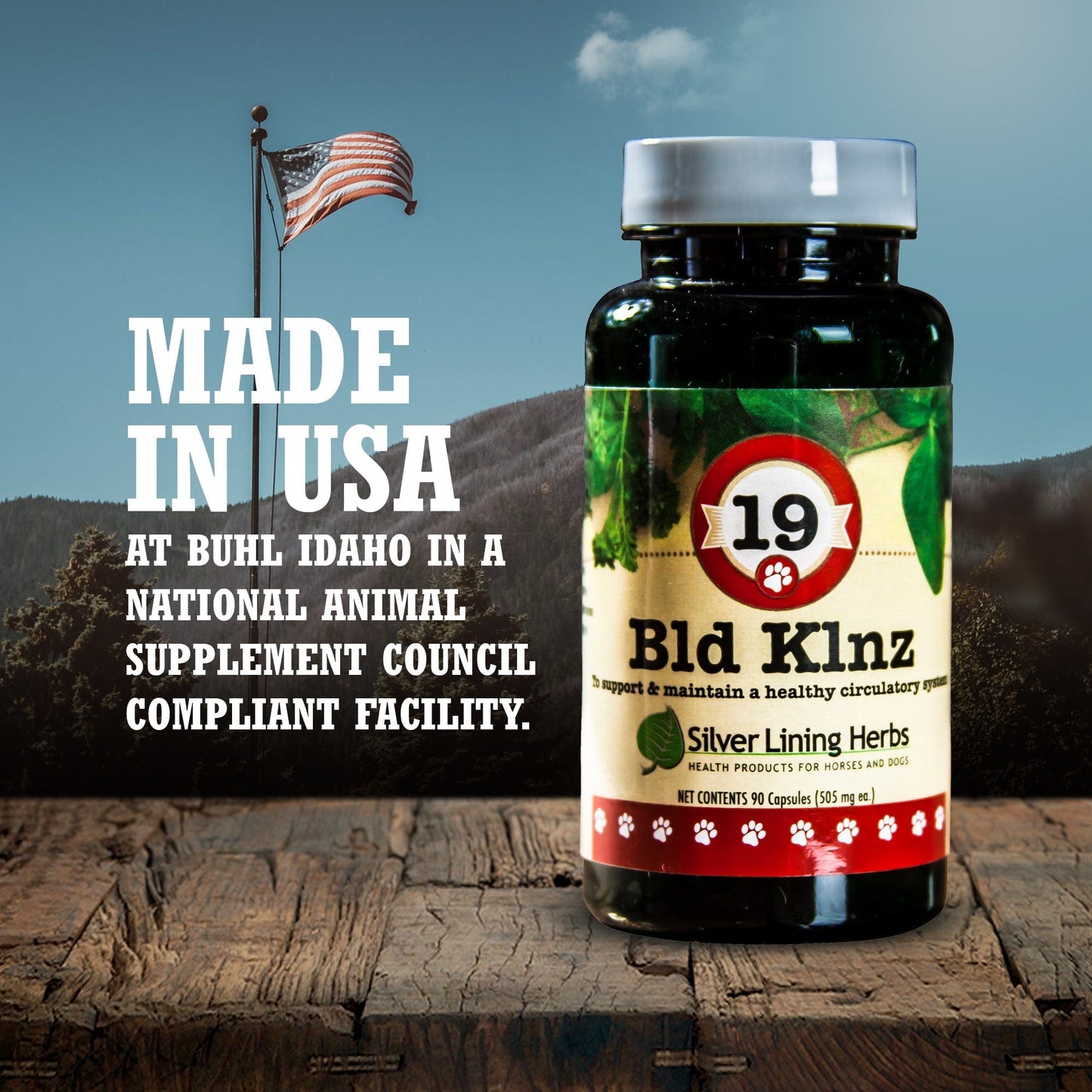 19 Bld Klnz for Canines