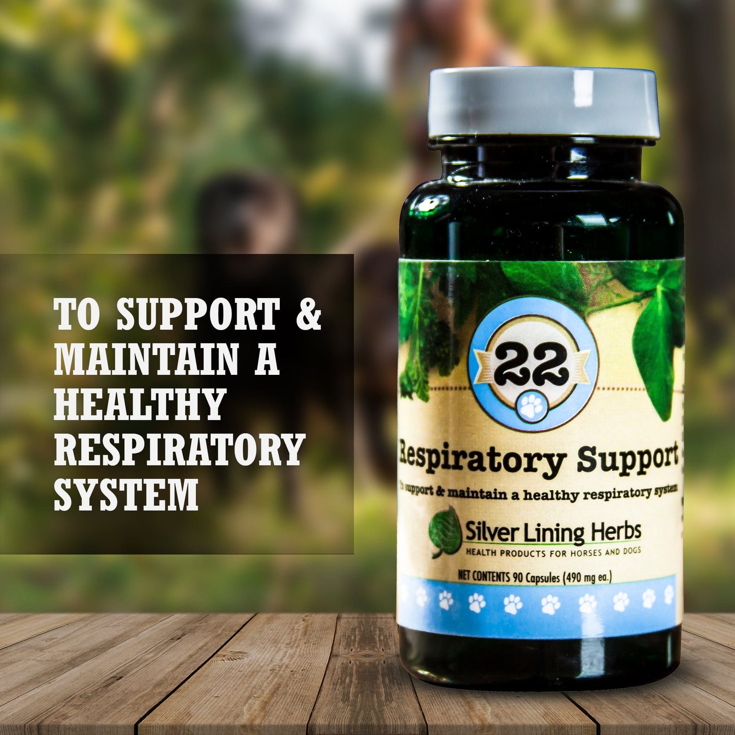22 Respiratory Support for Canines