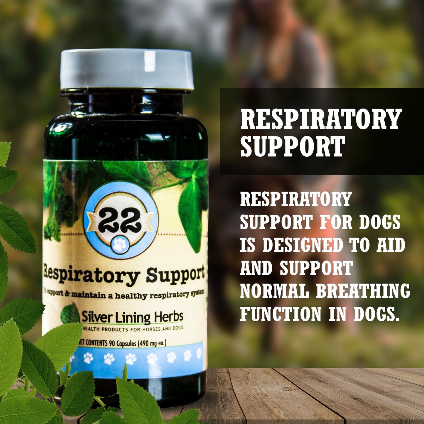 22 Respiratory Support for Canines