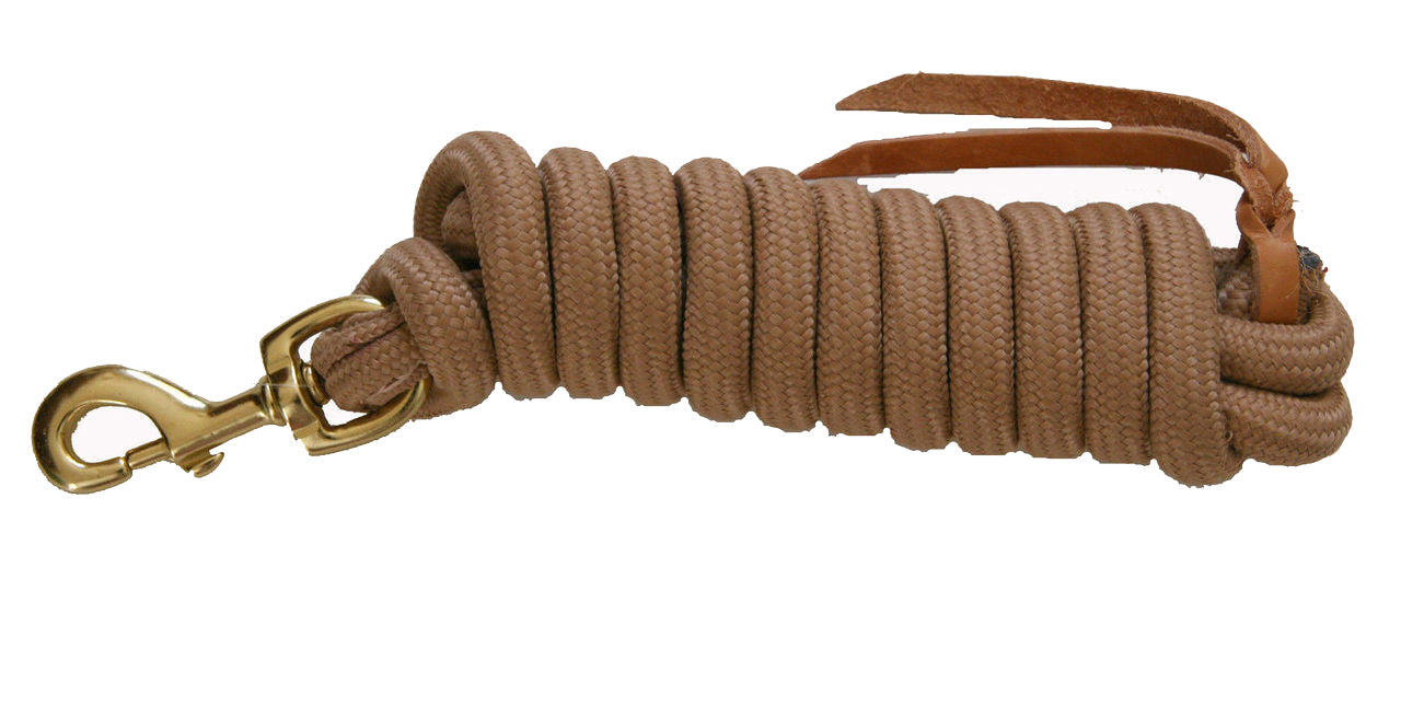 AJ Tack 9 Foot Nylon Lead Rope with Leather Popper