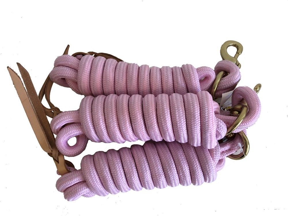 AJ Tack 9 Foot Nylon Lead Rope with Leather Popper - Set of 3