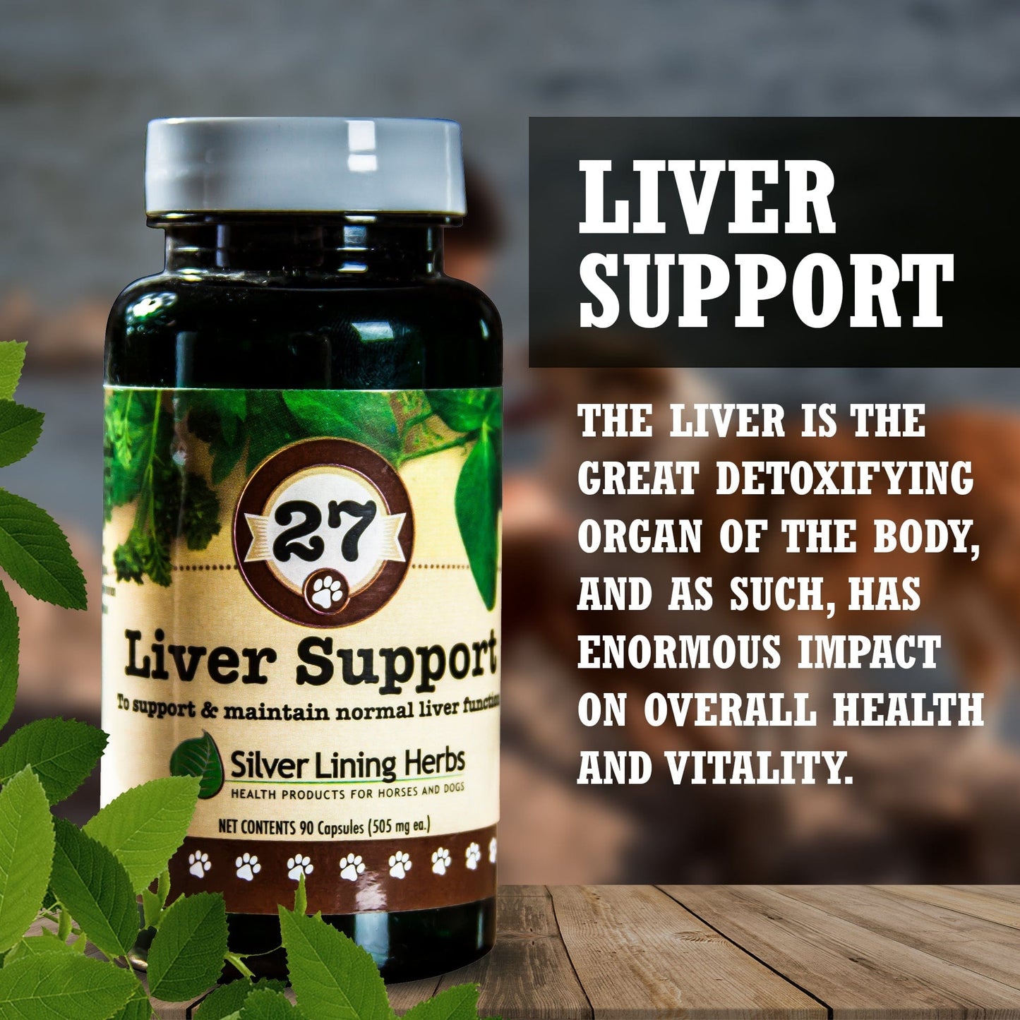 27 Liver Support for Canines