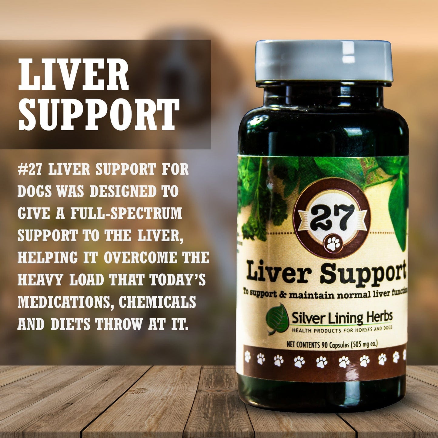 27 Liver Support for Canines