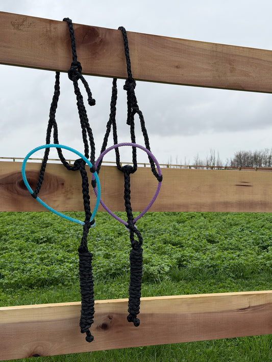 Single Color Lariat Noseband Halter- Customize