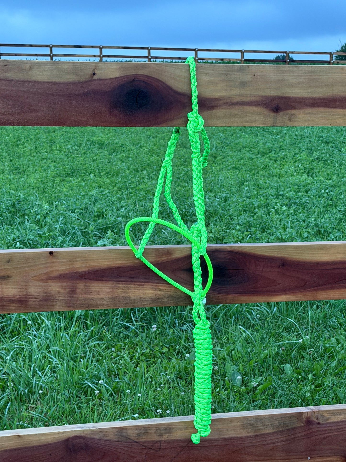 Signature| Lime Green Lariat