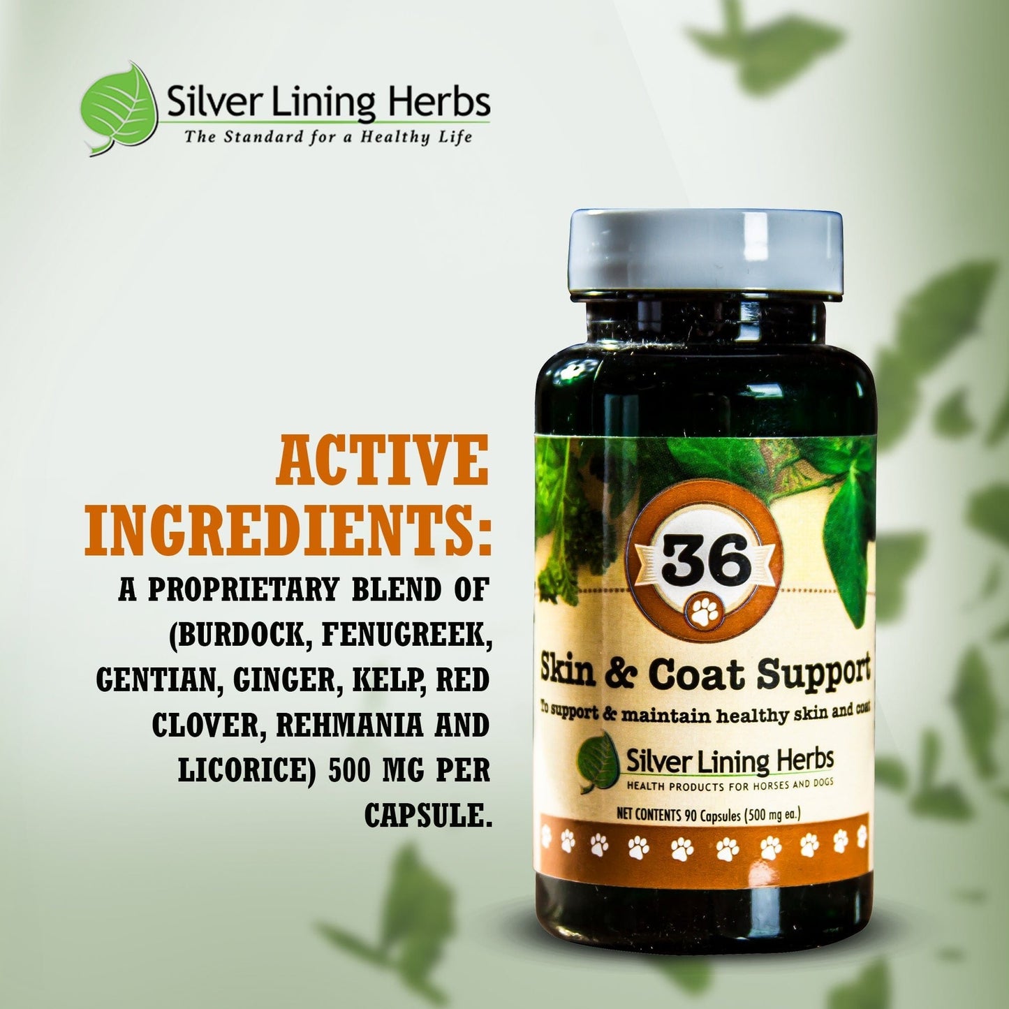 36 Skin & Coat Support for Canines