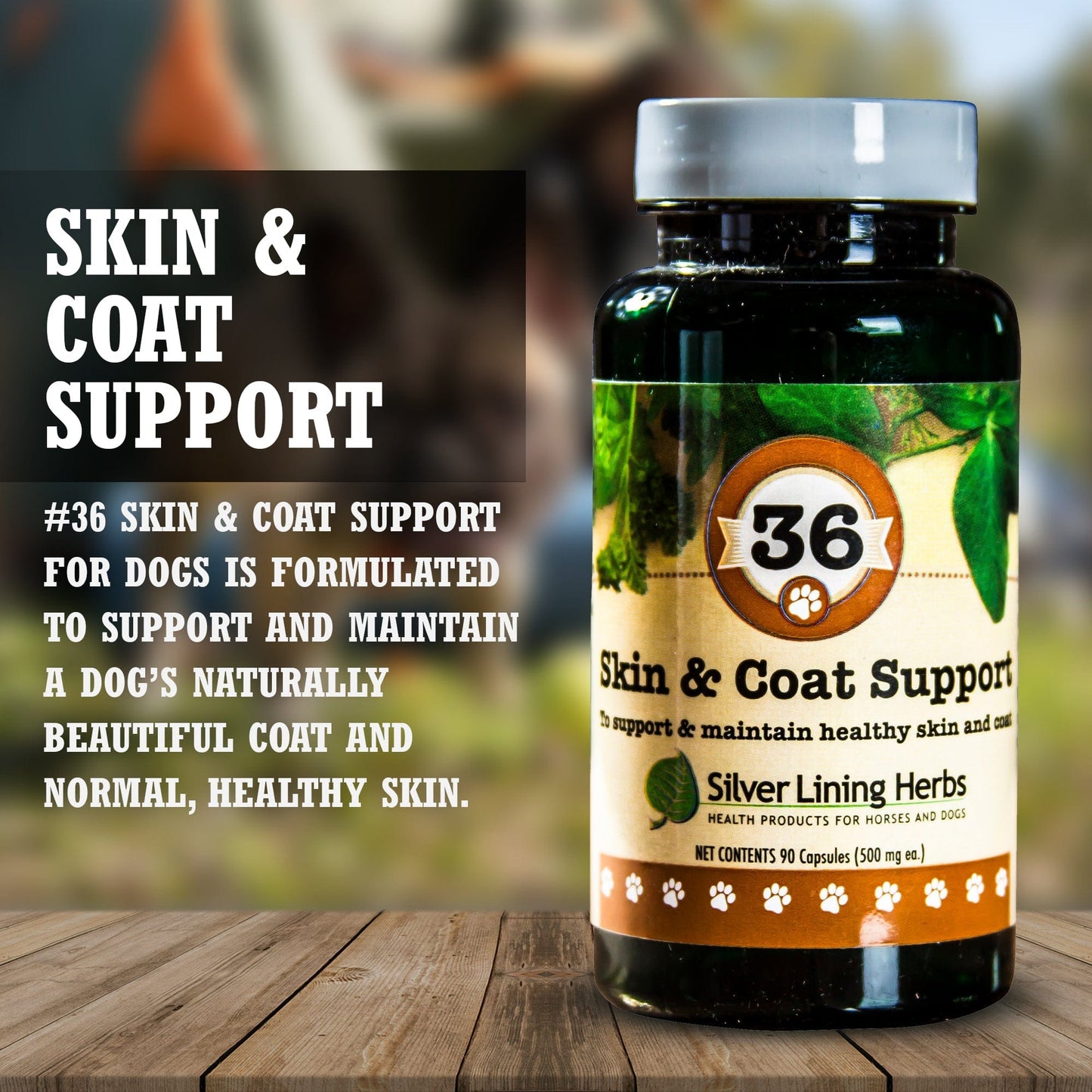 36 Skin & Coat Support for Canines
