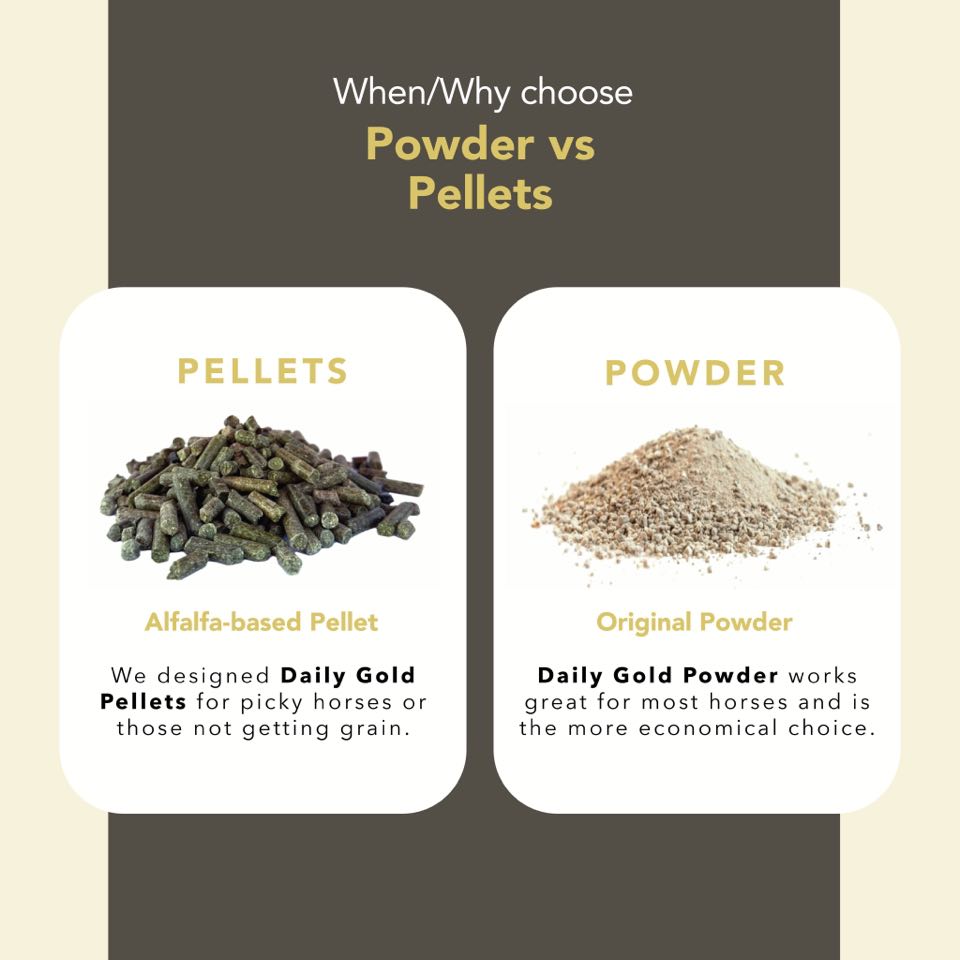 Daily Gold® - Horse Gut Supplements