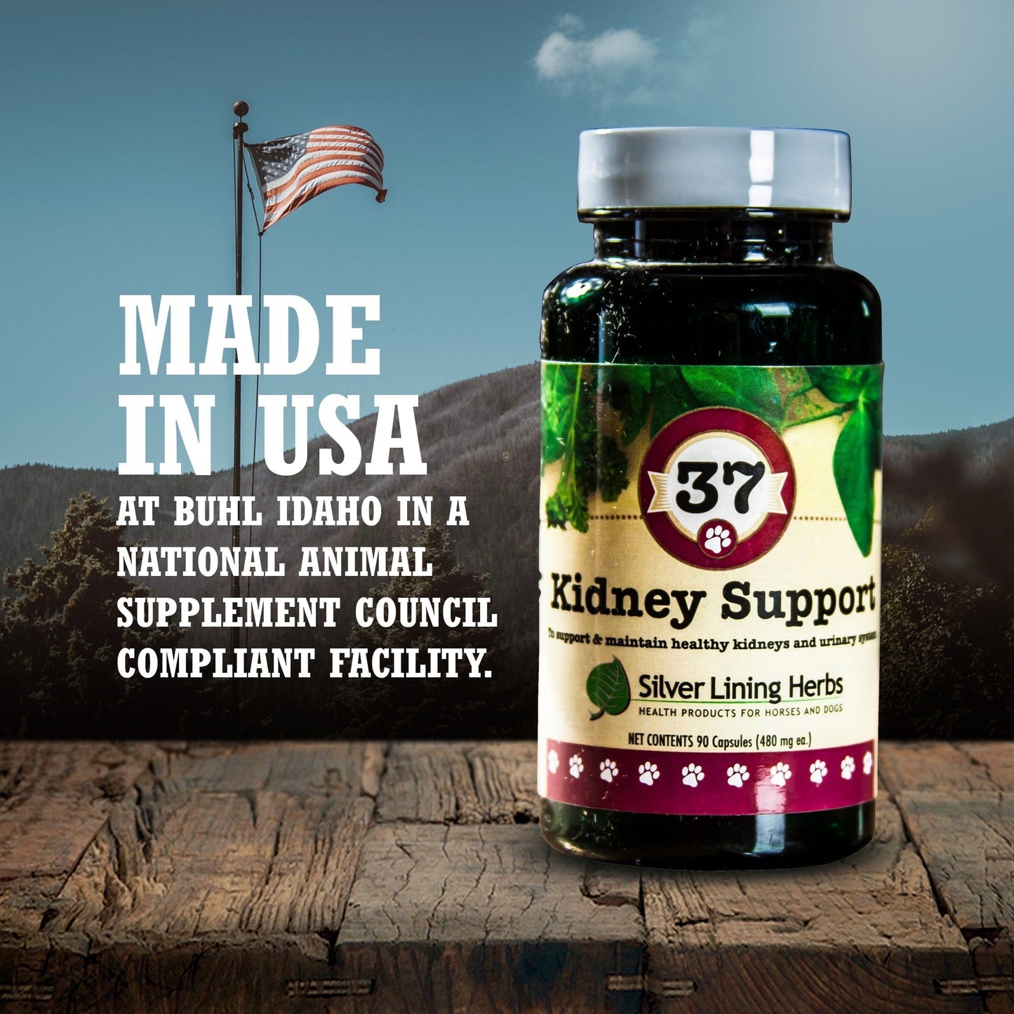 37 Kidney Support for Canines -  90 Capsule