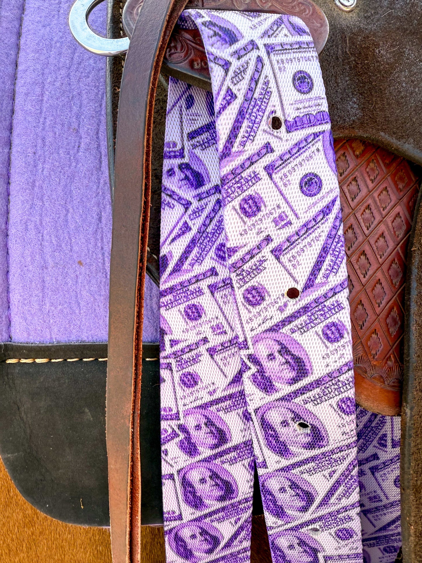 Dash for Cash (Purple) Cinch Strap Set