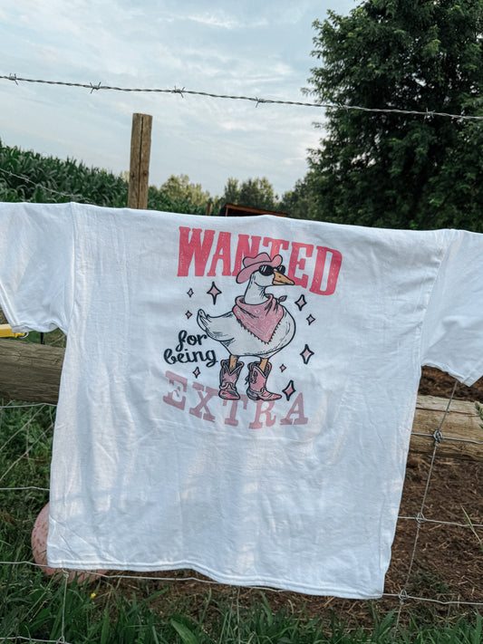 WANTED 4 BEING EXTRA