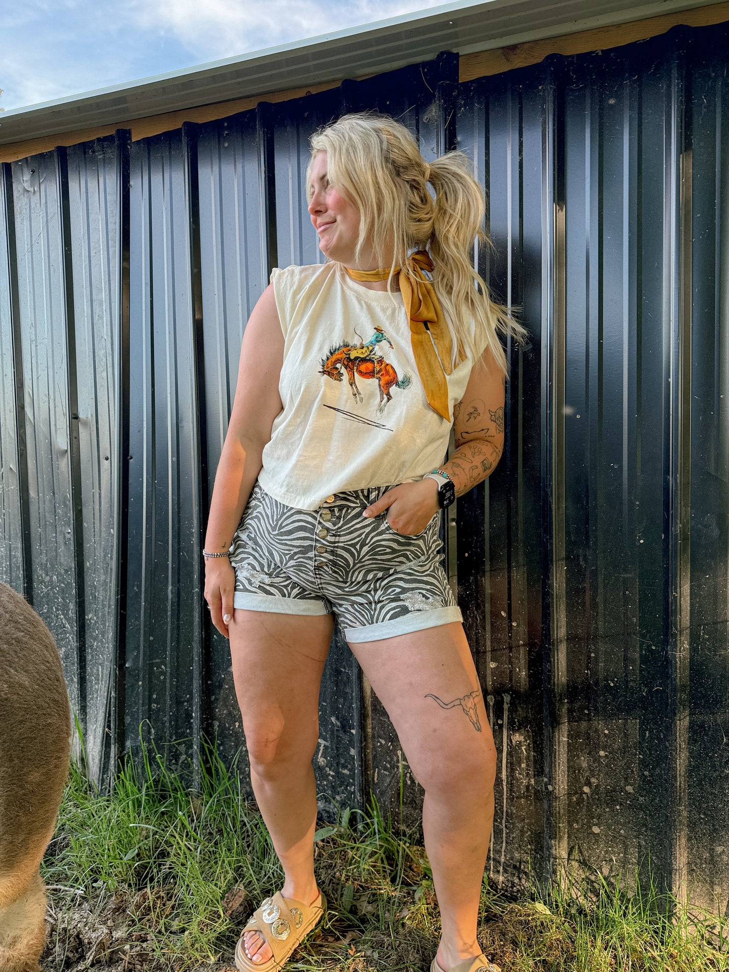 THE ZEEEBRAAHH SHORTS