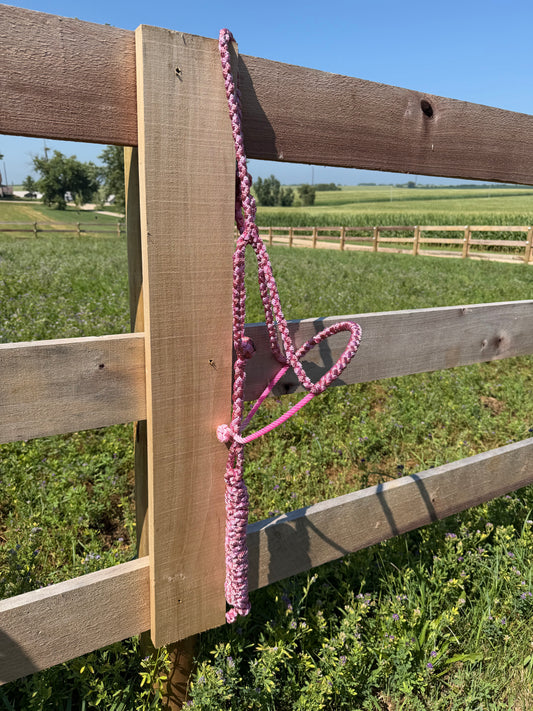 Pink & Cherry Braided Lariat Halter