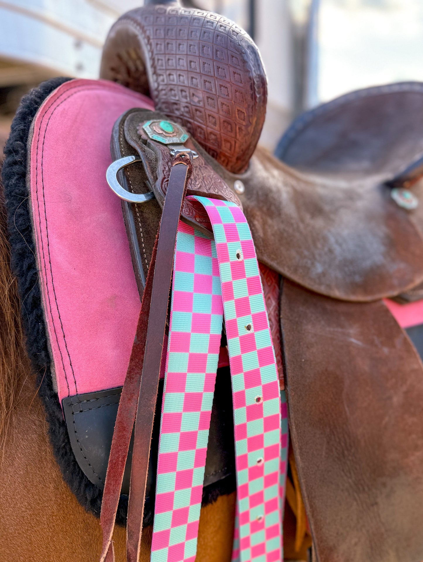 Checks Out (Pink/Turquoise) Cinch Strap Set