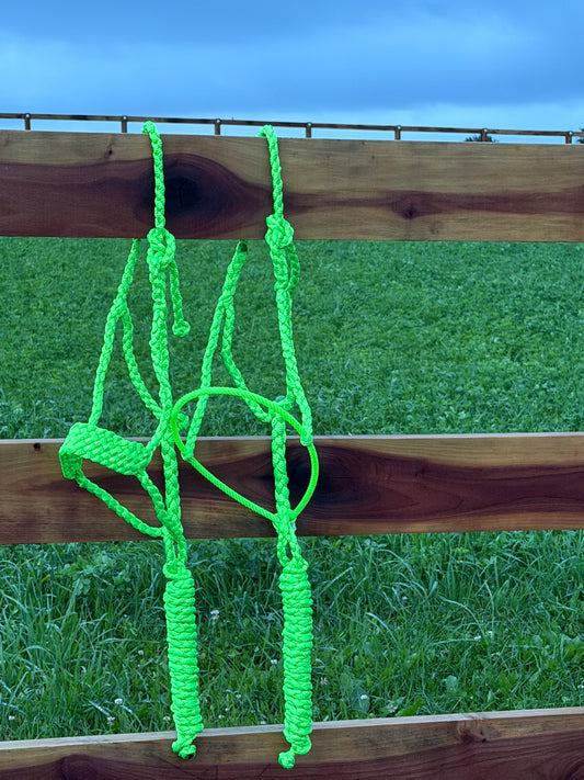 Signature| Lime Green Lariat