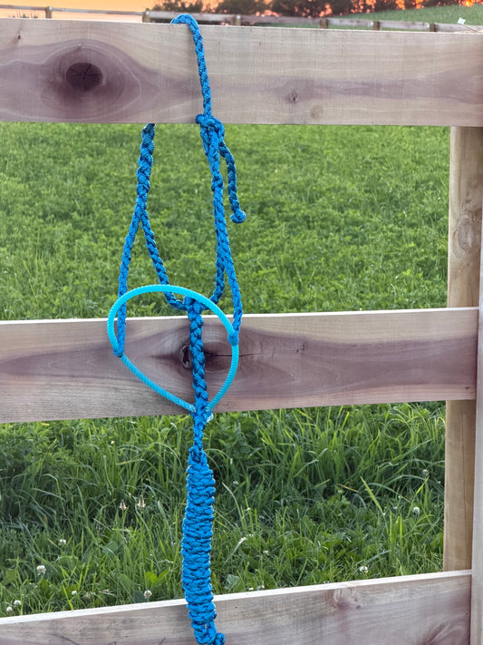 Signature| Blue Lariat