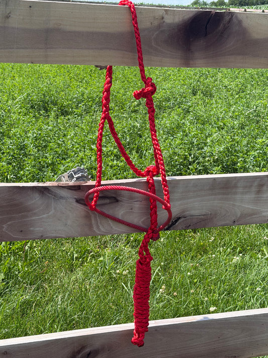 Signature| Red Lariat