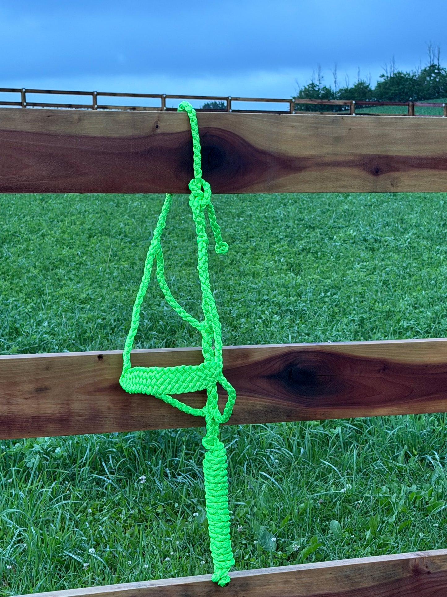 Signature| Lime Green