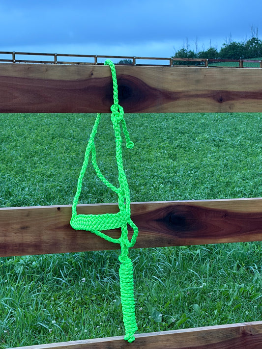 Signature| Lime Green