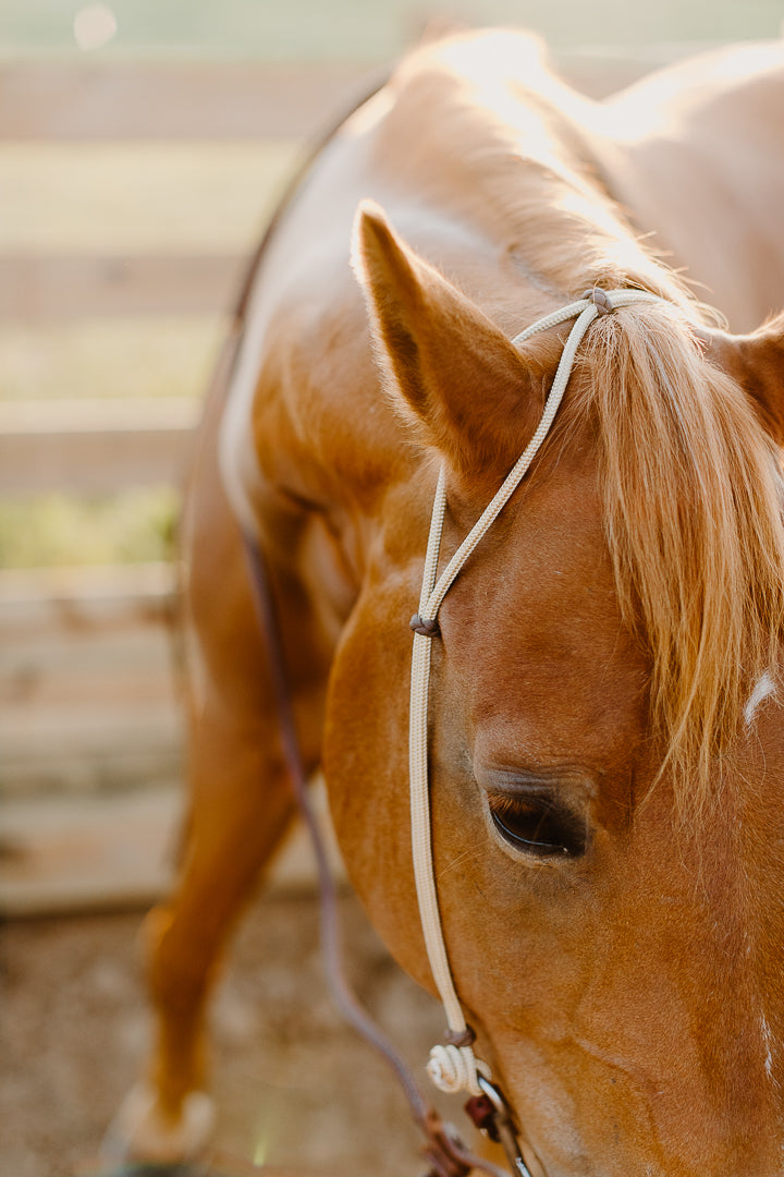 Hand Tied Rope Headstall